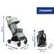 Прогулянкова коляска Chicco Goody Xplus