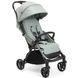 Прогулянкова коляска Chicco Goody Xplus