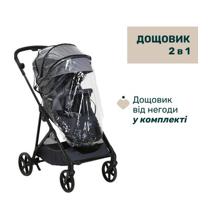 Коляска 2 в 1 Chicco Seety