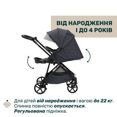 Коляска 2 в 1 Chicco Seety