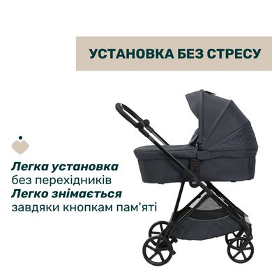 Коляска 2 в 1 Chicco Seety