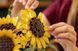 Набір LEGO Botanicals Букет соняшників