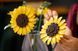 Набір LEGO Botanicals Букет соняшників
