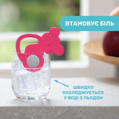 Прорізувач для зубів Chicco "Коала"
