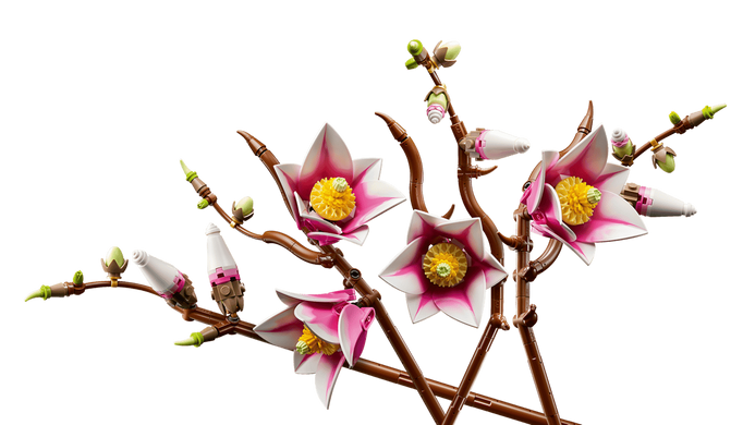 Конструктор LEGO Botanicals Гілки магнолії