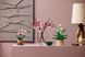 Конструктор LEGO Botanicals Гілки магнолії