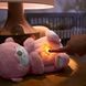 Мʼяка іграшка "Казкові сни рожевого видреняти" Fisher-Price