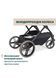 Прогулянкова коляска Chicco Dolomiti