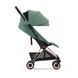 Коляска прогулянкова Cybex Coya (Rosegold / Leaf Green)