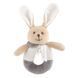 Брязкальце Chicco "Зайченя DouDou"