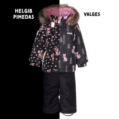 Комплект зимовий дитячий (куртка + напівкомбінезон) Lenne Forest