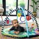 Килимок розвиваючий 2 в 1 Baby Einstein "Sea Floor Explorers"