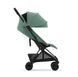 Прогулочная коляска Cybex Coya (Matt Black / Leaf Green)