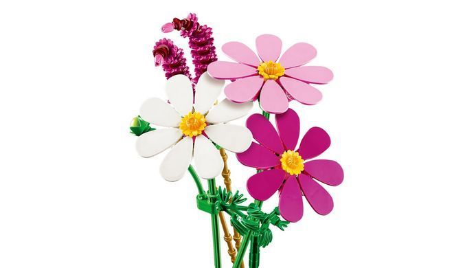 Набір LEGO Botanicals Квіти космеї