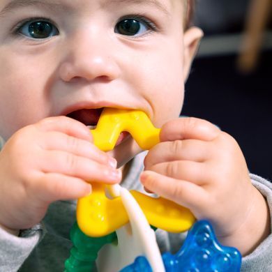 Прорізувач для зубів Baby Einstein "Sea of Sensory"