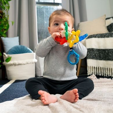 Прорізувач для зубів Baby Einstein "Sea of Sensory"