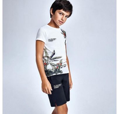 Комплект ( шорты и футболка ), 8 лет, Мальчик, Лето
