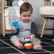 Игрушка-пирамидка Baby Einstein "Stack & Wobble Zen"