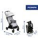 Прогулянкова коляска Chicco Goody XPlus