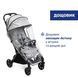 Прогулянкова коляска Chicco Goody XPlus