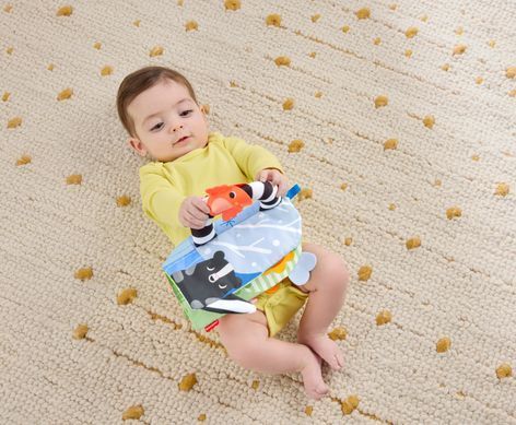 М'якенька розвивальна книжечка Fisher-Price