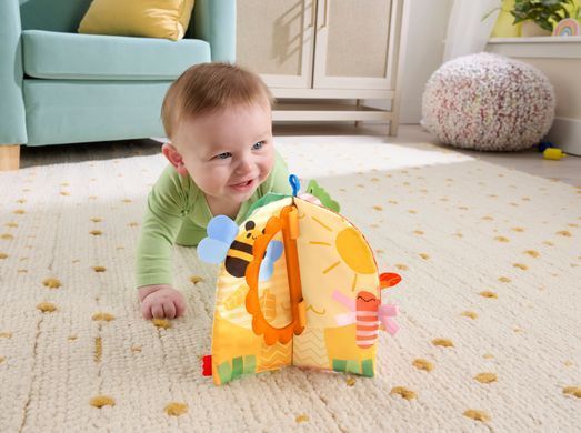 М'якенька розвивальна книжечка Fisher-Price