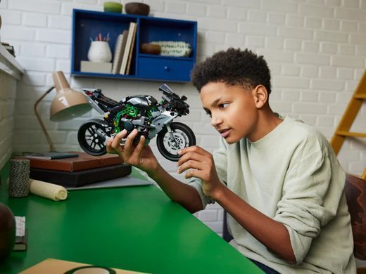 Конструктор LEGO Technic Мотоцикл Kawasaki Ninja H2R 643 деталі (42170)