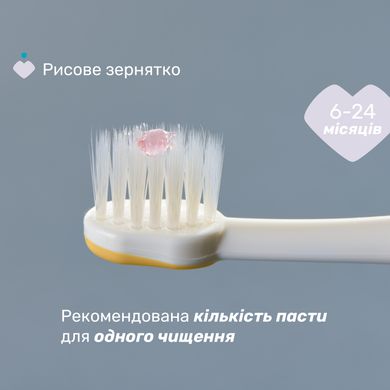 Зубна щітка Chicco для перших зубів, 6-36 міс., 2 шт.