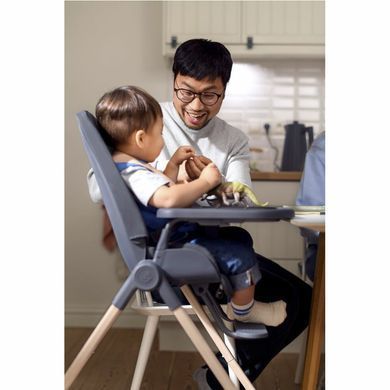Стільчик для годування MAXI-COSI Ava Eco (Beyond Graphite)