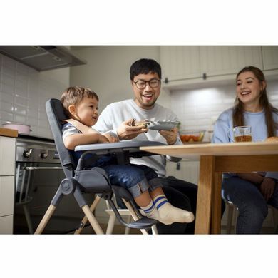 Стільчик для годування MAXI-COSI Ava Eco (Beyond Graphite)