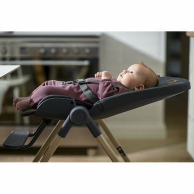 Стільчик для годування MAXI-COSI Ava Eco (Beyond Graphite)
