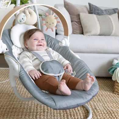 Крісло-гойдалка Ingenuity SimpleComfort &ndash; Parker