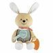 М'яка іграшка Chicco "Зайченя DouDou для обіймів"
